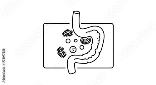 Gut Microbiome Illustration: Bacteria in Digestive System