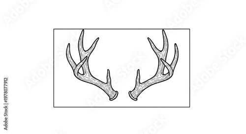 Deer Antlers Silhouette, Hunting Trophy, Wildlife Symbol, Rustic Decor Element