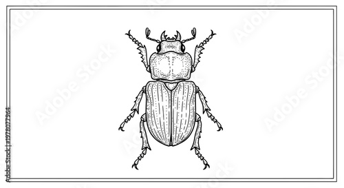 Detailed Black and White Illustration of a Stag Beetle with Intricate Details