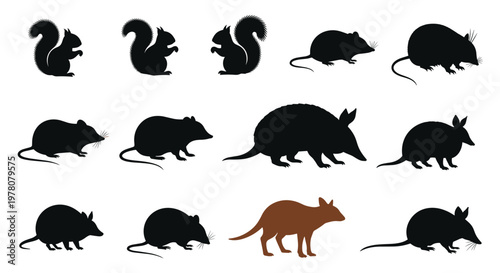 A collection of black silhouettes of various rodents and small mammals like squirrels rats and armadillos on a white background.