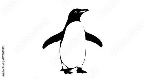 Black and white penguin standing.