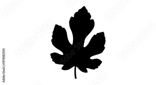 Black silhouette of a fig leaf with a stem on a white background.