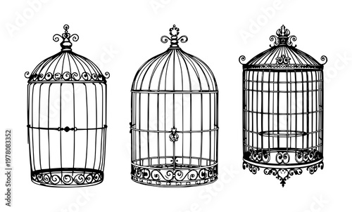 Birdcage set with ornate victorian design and hand‑drawn organic detailing featuring birdcage, victorian, ornate, hand‑drawn with white background and organic
