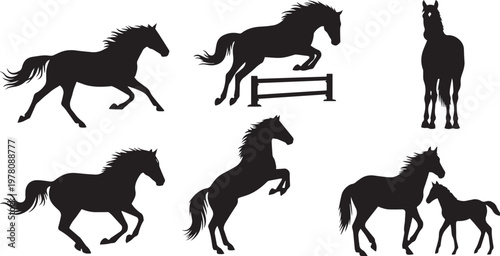 Horse Silhouettes Collection – Galloping, Jumping, Rearing, Foal, Equine Motion