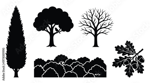 Various tree and bush silhouettes with an oak branch and acorns providing versatile natural botanical graphic elements for landscape design or outdoor scene compositions.