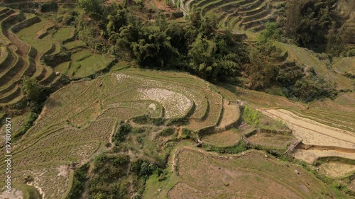 Layers of Vietnam hillside terraced into pattern colourful brown rice paddies, prior to growing season. Curves from above reveal dry landscape.