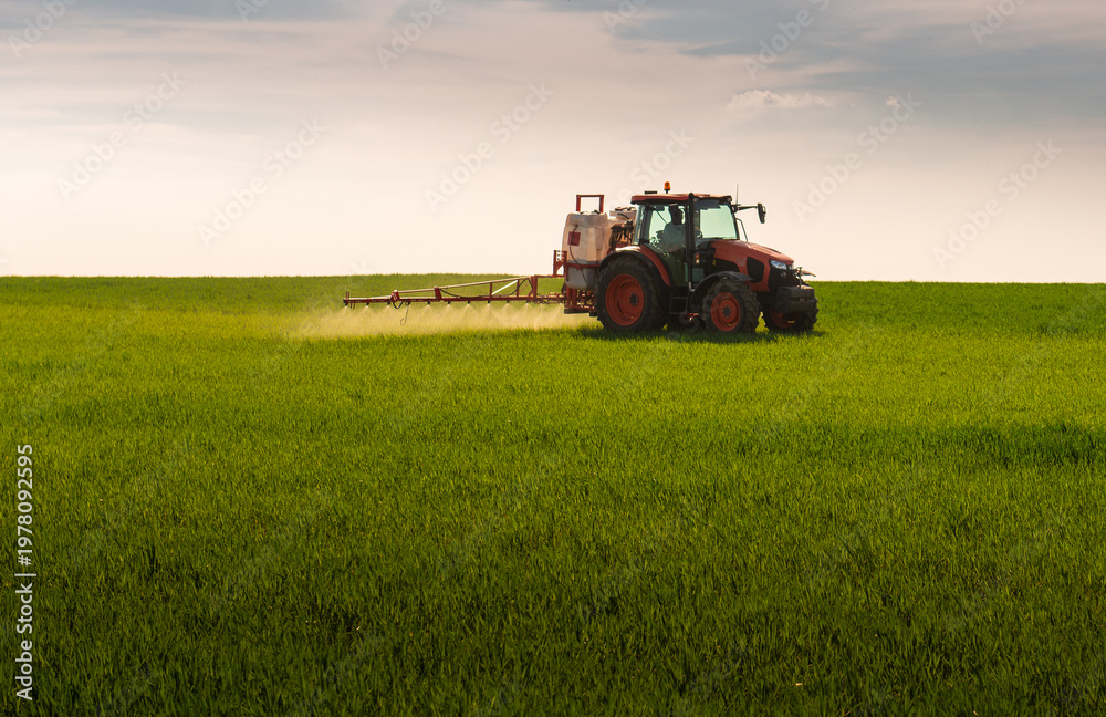 Fototapeta premium Tractor spraying wheat field with sprayer, herbicides and pesticides