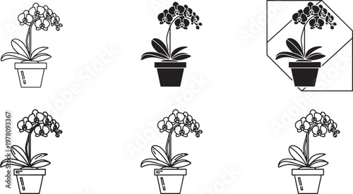 Orchid Flower Pot Vector Set, Elegant Floral Line Art Illustration Collection, Potted Botanical Outline Icons, Black and White Nature Clipart