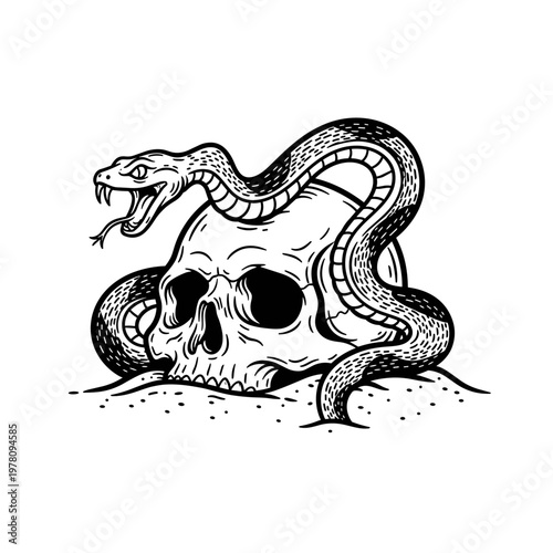Skull and Snake Illustration.
