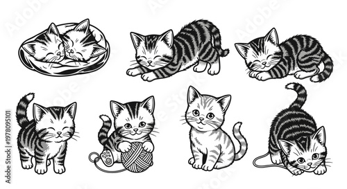 Collection of Adorable Tabby Kittens in Various Poses.