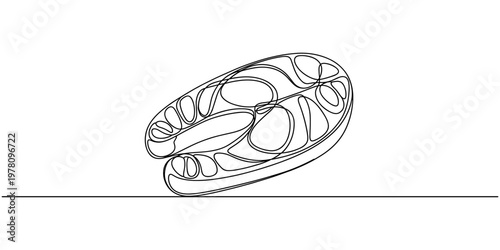 salmon fish cutlets on a cutting board in continuous line art style. Concept of salmon fish accompanied by sliced salmon meat on a cutting board in one line running art style.