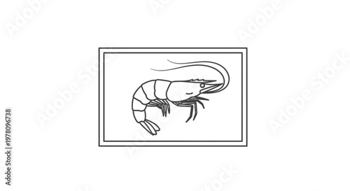 Simple Line Drawing of a Shrimp in a Rectangle Frame