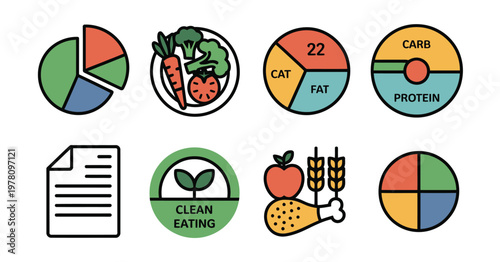 Balanced Meal Planning Icons Nutrition Plate Protein Carbs Fat Diet Healthy Food Chart Vector Illustration Collection Isolated Background