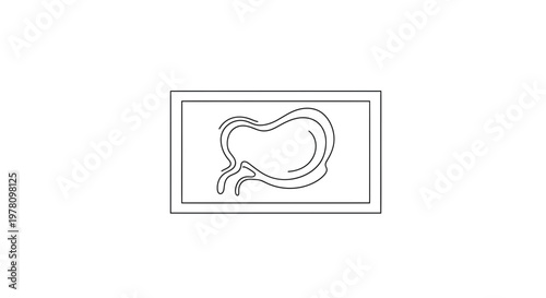Simple Line Drawing of Human Stomach and Intestines on White Background