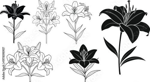 Lily Flower Icon Set with Different Floral Designs for Nature, Garden, and Botanical Illustrations