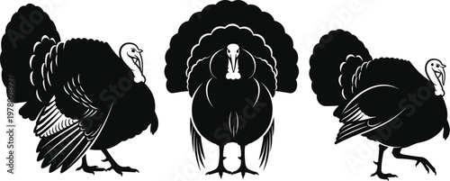 Turkey Icon Set with Different Poses and Feathers for Thanksgiving, Farm, and Bird Illustration Designs