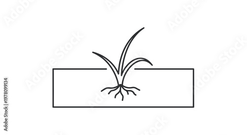 Plant Sprouts with Roots in Soil, Growth Concept, Minimalist Line Art Icon