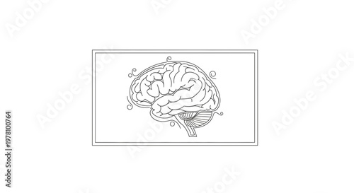 Hand-drawn illustration of a human brain with cerebellum and brainstem, isolated on white.