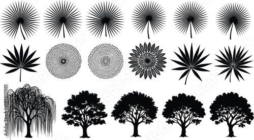 Black silhouette collection of tropical palm leaves, fan foliage, weeping willow, and deciduous forest trees isolated on a white background.