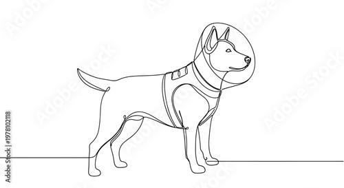 Minimalist continuous line drawing of a dog wearing an ecollar and harness, symbolizing pet health, recovery, and responsible animal care, perfect for vet and animal welfare publications.