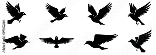 Set of elegant black bird silhouettes soaring and flapping, conveying themes of freedom, nature, and tranquility for various design applications.