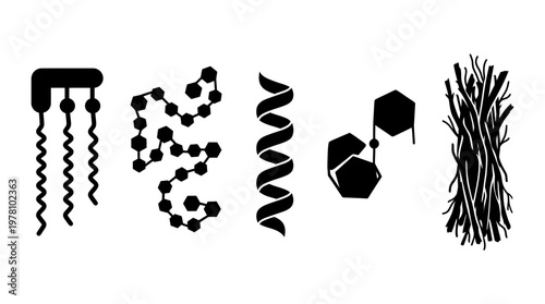 Graphic silhouettes of fundamental biological molecules including DNA, polymers, lipids, and fibers, perfect for science, education, and research applications.