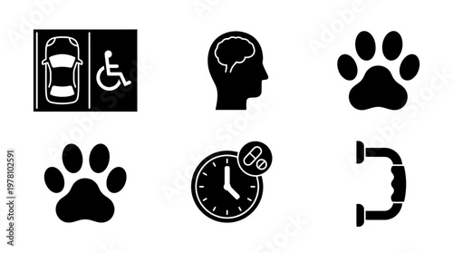 Glyph icons featuring accessible parking, brain, paw, medicine schedule, and support handle. Ideal for web, app, and print informational graphics.