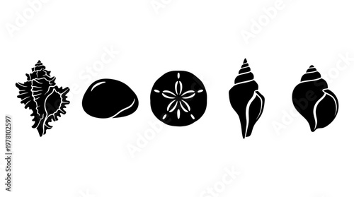 Black silhouettes of various seashells and a sand dollar ideal for summer themes, ocean decorations, and educational materials.