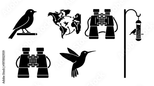 Bird watching icons showcasing various bird species, global migration, binoculars, and a feeder. Ideal for nature education, wildlife guides, and outdoor hobby content.