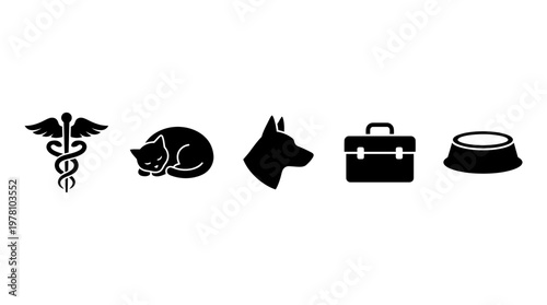 Set of professional icons depicting veterinary medicine, pet care, and animal health services, ideal for websites, brochures, and presentations.