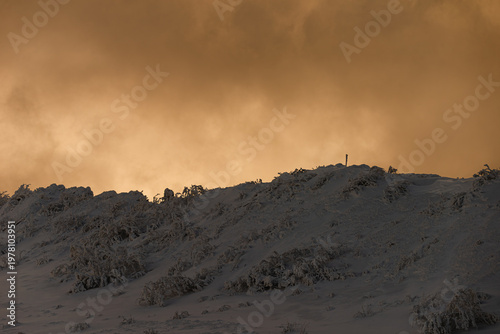 Breathtaking winter panorama of the Polonina Wetlinska ridge in Bieszczady Mountains, Poland. Snow-covered hiking trail with tourists in the distance and foreground plants covered in thick rime ice 