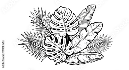 Black and white line art of tropical leaves, including monstera and palm fronds, creating a summery jungle motif perfect for various graphic applications.