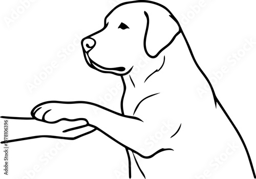 Pet therapy session minimalist illustration