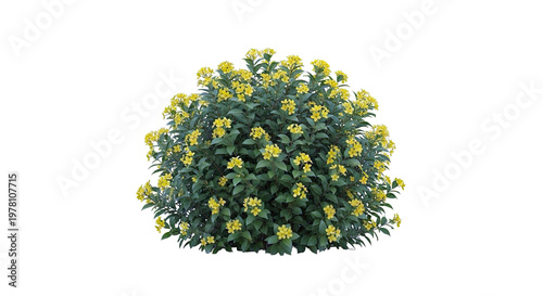 Bush with Yellow Flowers