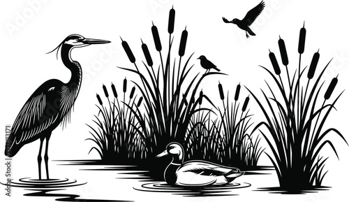 Wetland wildlife scene silhouette with heron standing in water, duck swimming, flying birds, and cattail bullrush plants in marshy pond,