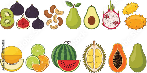 Exotic Tropical Fruit Vector Set with Kiwi Fig Avocado Dragon Fruit Durian Papaya Melon Citrus and Watermelon Collection