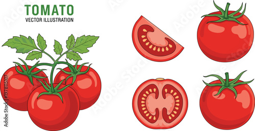 Fresh Tomato Collection Set Featuring Whole and Sliced Red Tomatoes with Leaves in Detailed Food Vector Illustration Style