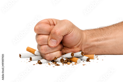 Conceptual no smoking illustration, clenched fist crushing cigarettes and tobacco, anti nicotine addiction health campaign graphic isolated on Transparent Background