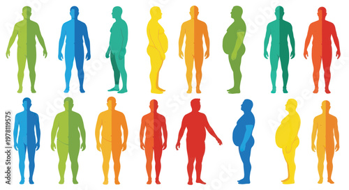 Diverse Body Types and Weights - Colorful Human Silhouettes