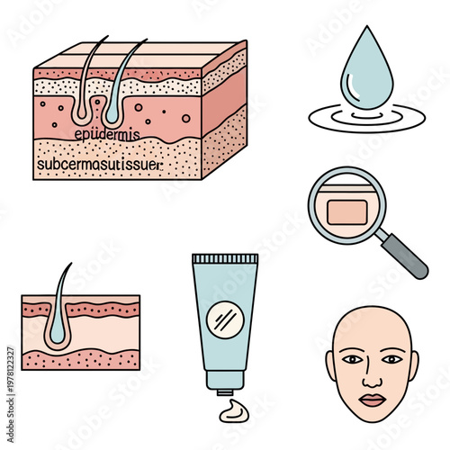 Human skin layers and skincare products illustration