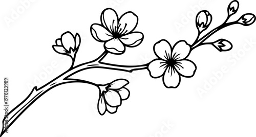 Luxury Fine Line Golden Cherry Blossom Branch Element Minimalist Sakura Motif