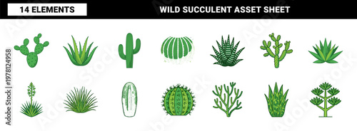 Desert Cactus and Succulent Plant Kit