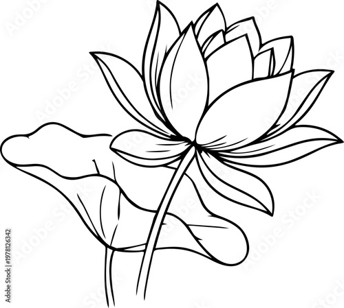Elegant Gold Lotus Flower Fine Line Drawing Continuous One Line Art Motif