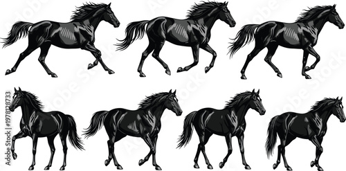 Black Horse Running and Galloping Pose Set with Detailed Muscular Stallion Illustrations for Equestrian, Wildlife, Racing, and Nature Design Projects