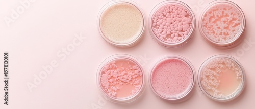 Six petri dishes with colorful cultures showing growth and microbial colonies on a soft pink background.
