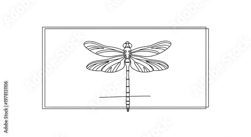 Elegant Dragonfly Illustration: Minimalist Line Art with Intricate Wings