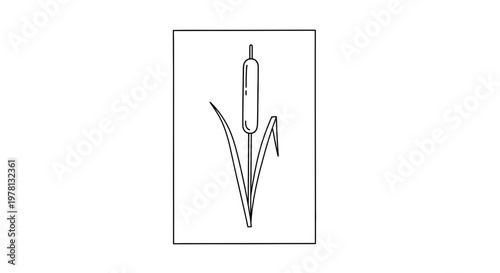 Cattail Plant Outline Drawing, Simple Line Art Illustration of Bulrush in a Rectangle