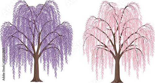 Beautifully rendered purple and pink weeping willow trees with cascading branches and delicate foliage isolated on white background for nature design, landscaping and decorative projects.