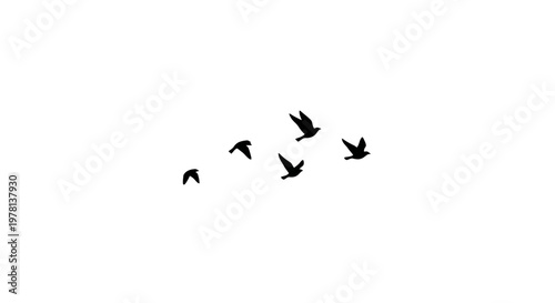 A flock of stylized birds in black silhouette soars across the sky, depicted in a vector art illustration forming a simple pattern against a clean white background with a minimalist design