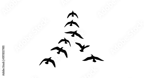 Stylized vector illustration of a flock of birds flying in silhouette, forming a geometric pattern against a clean white background, showcasing a minimalist design with a focus on shape